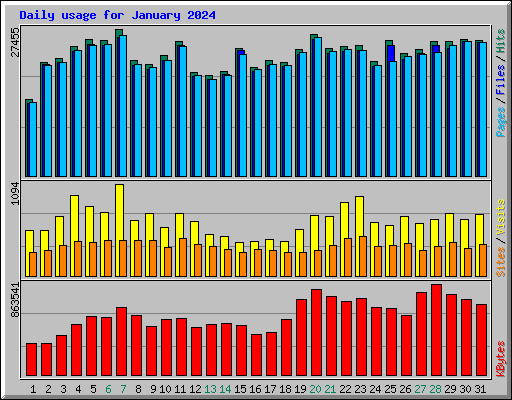 Daily usage for January 2024