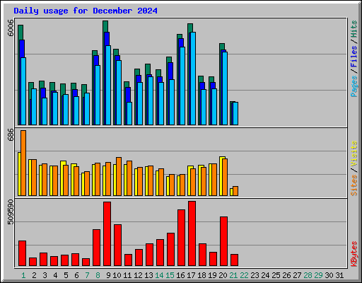 Daily usage for December 2024