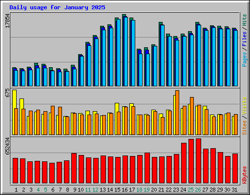 Daily usage for January 2025