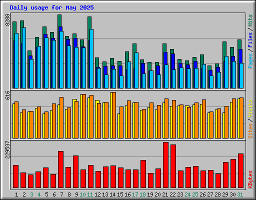 Daily usage for May 2025