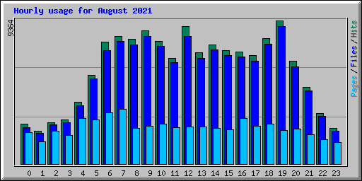 Hourly usage for August 2021