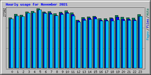 Hourly usage for November 2021