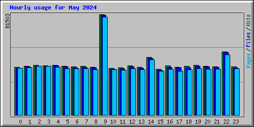 Hourly usage for May 2024