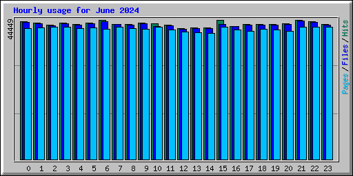 Hourly usage for June 2024