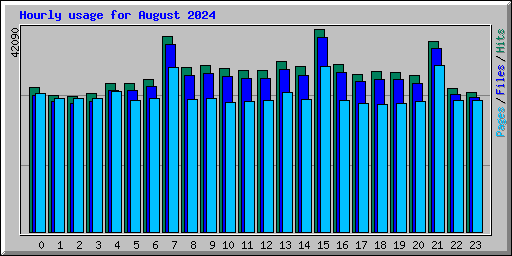 Hourly usage for August 2024