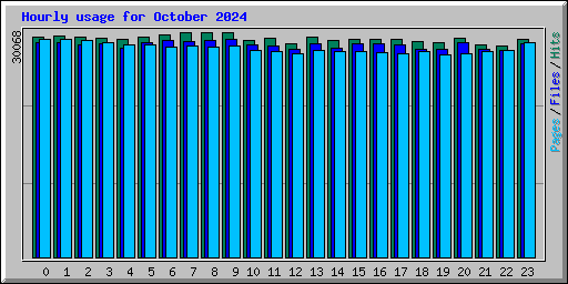 Hourly usage for October 2024