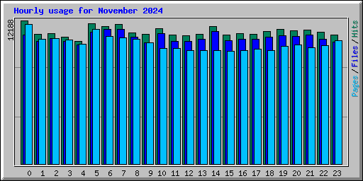 Hourly usage for November 2024