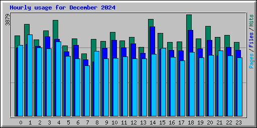 Hourly usage for December 2024