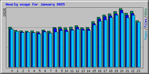 Hourly usage for January 2025