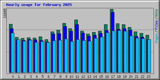 Hourly usage for February 2025