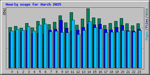 Hourly usage for March 2025