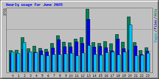 Hourly usage for June 2025