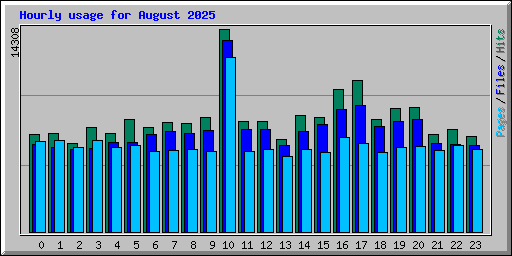 Hourly usage for August 2025