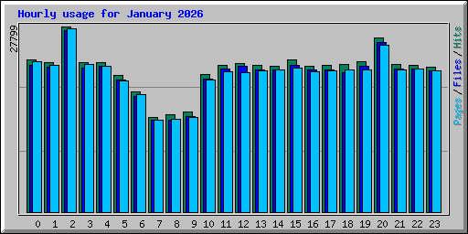 Hourly usage for January 2026