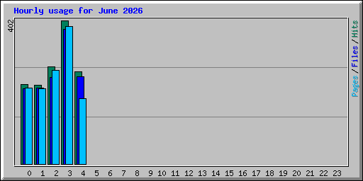 Hourly usage for June 2026