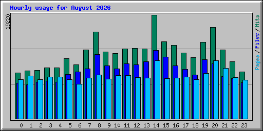 Hourly usage for August 2026